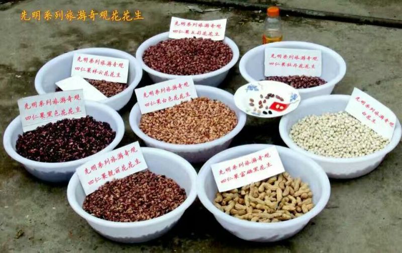 彩色花生干货带壳