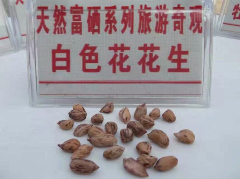 彩色花生干货带壳