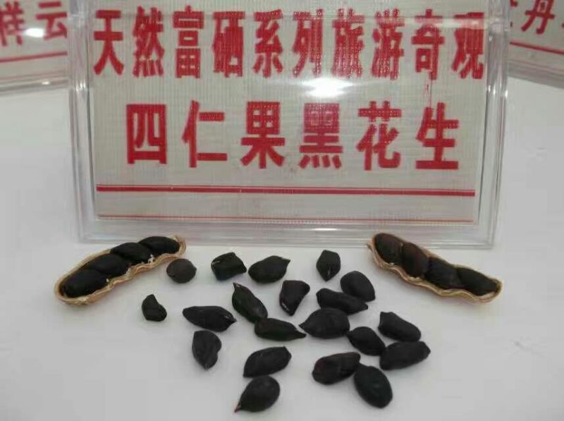 彩色花生干货带壳