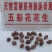 彩色花生干货带壳
