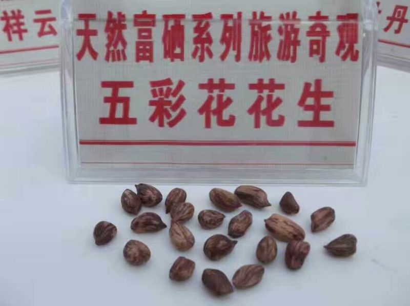 彩色花生干货带壳