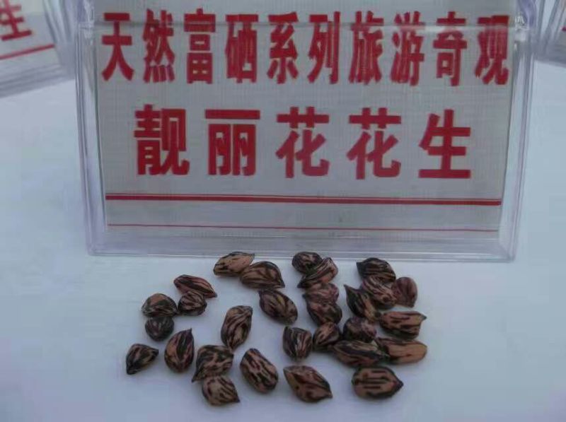 彩色花生干货带壳