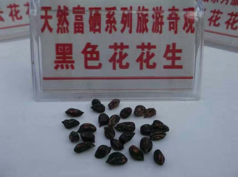 彩色花生干货带壳