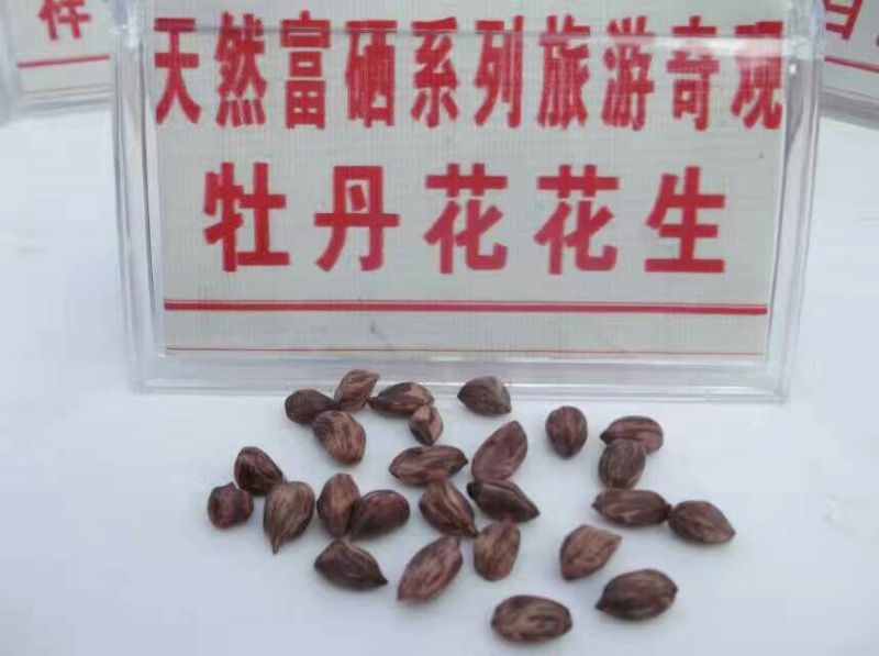 彩色花生干货带壳