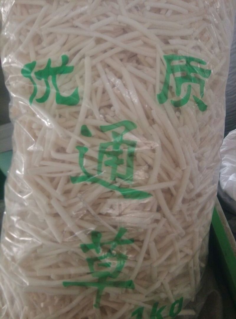通草