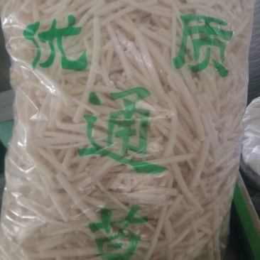 通草