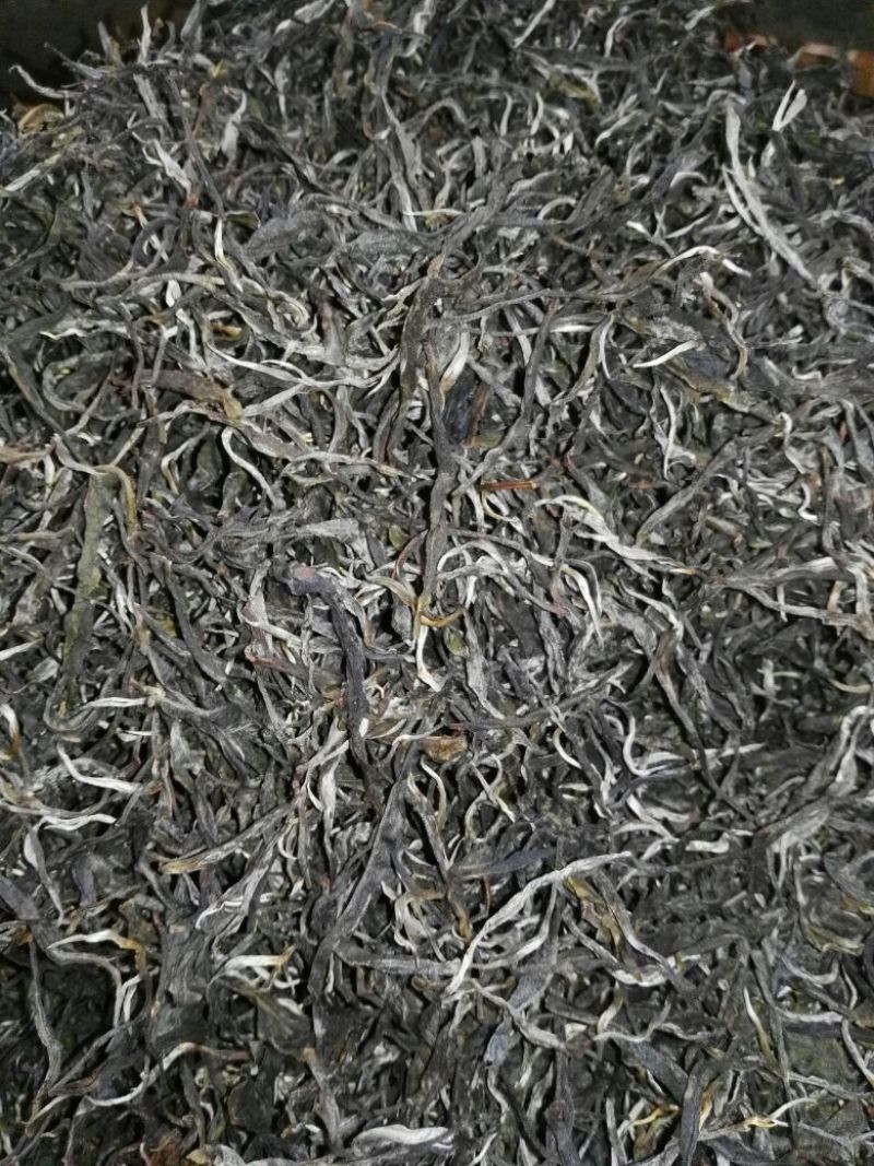 古树茶二级