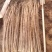 铁棍山药2~3厘米特级通货70~90厘米