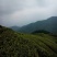 川茶特级