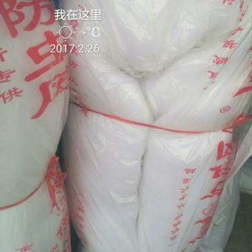 防虫网40目
