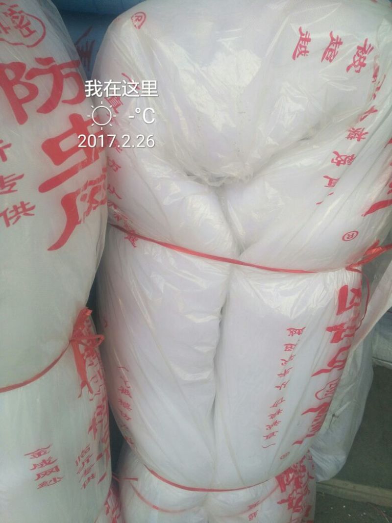 防虫网40目