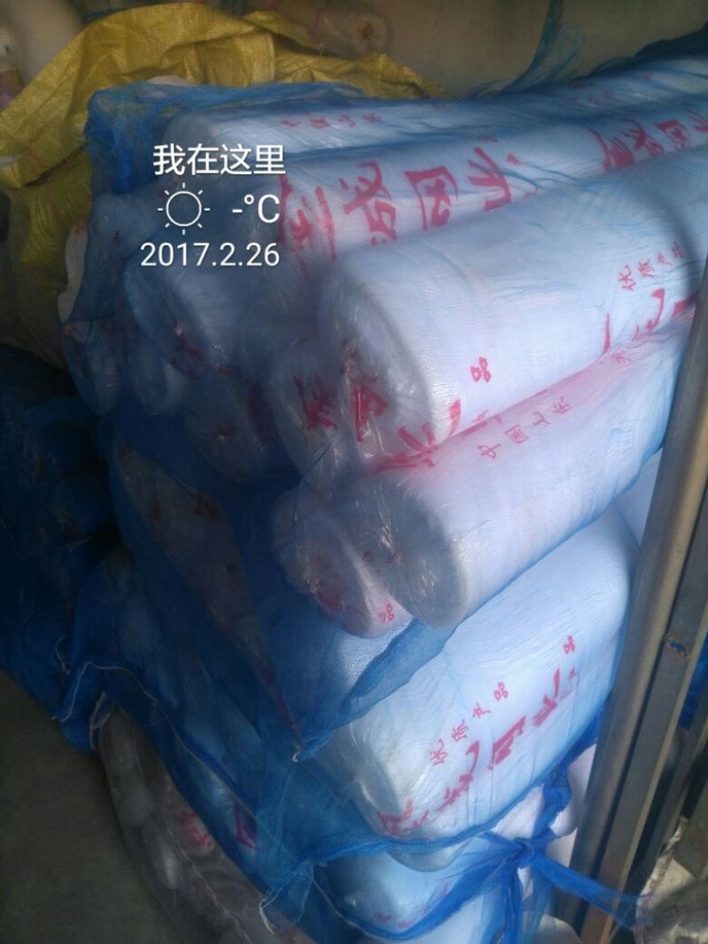 防虫网40目