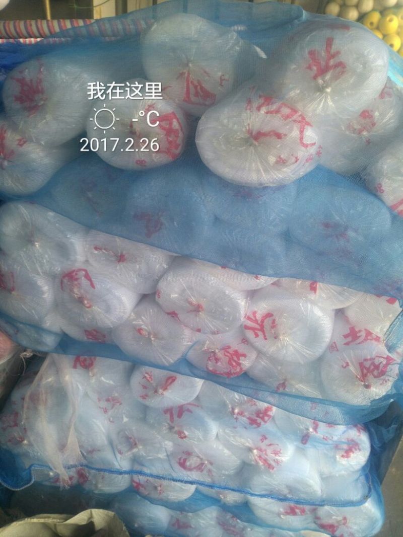 防虫网40目