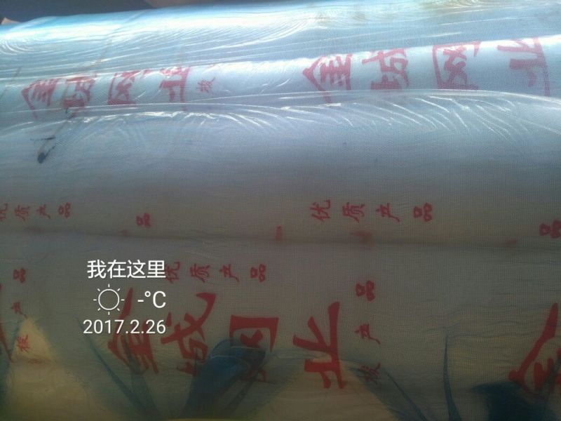 防虫网40目