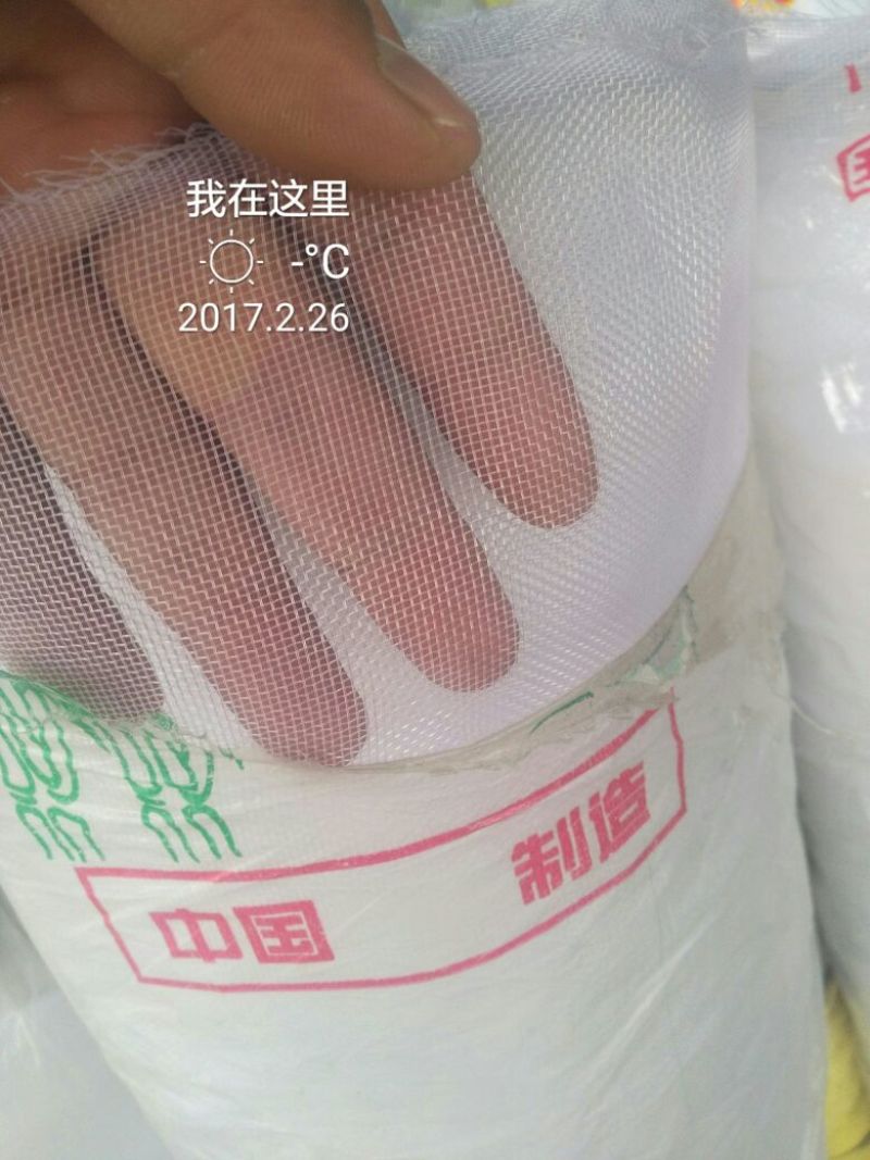 防虫网40目