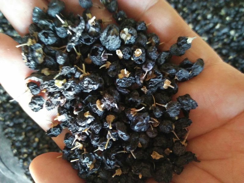 黑枸杞头茬干货