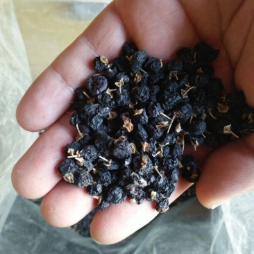 黑枸杞头茬干货