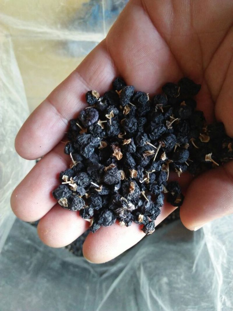 黑枸杞头茬干货