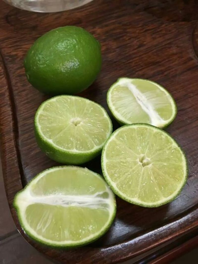 柠檬苗30~50cm