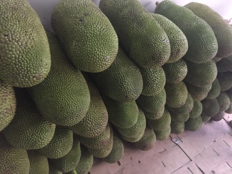 菠萝蜜