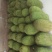 菠萝蜜