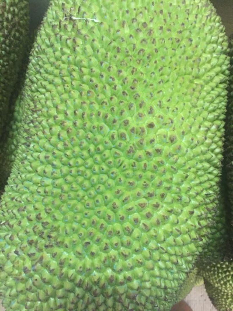 菠萝蜜