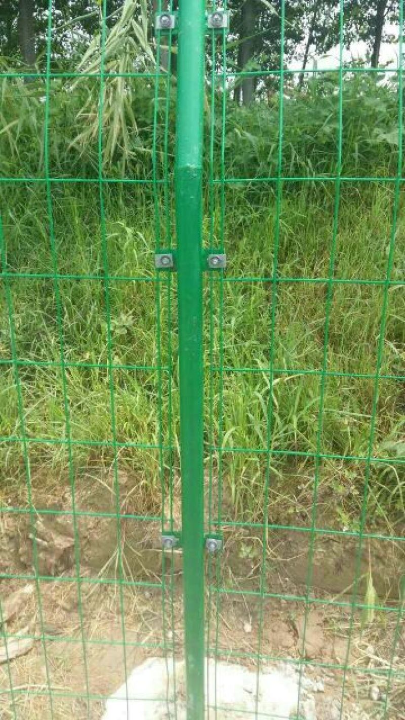 荷兰网50*50mm