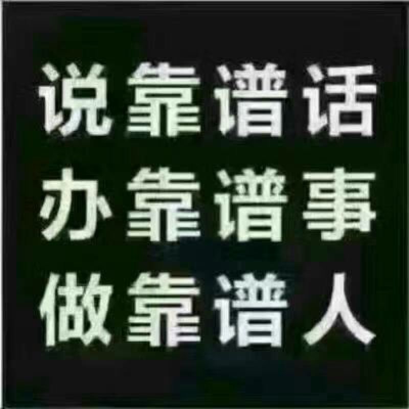 兰陵县黄心白菜无干边，更无烧心，包质量