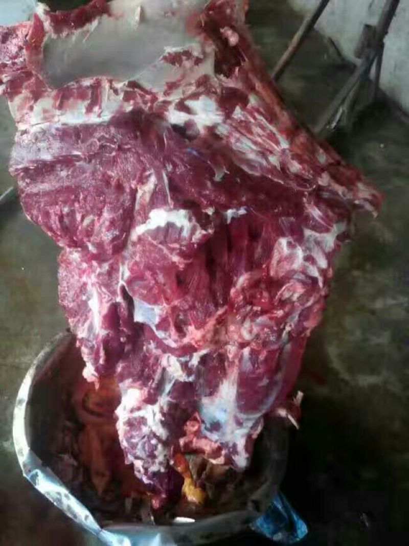 马肉鲜货