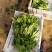 冰草冰菜基地常年供应