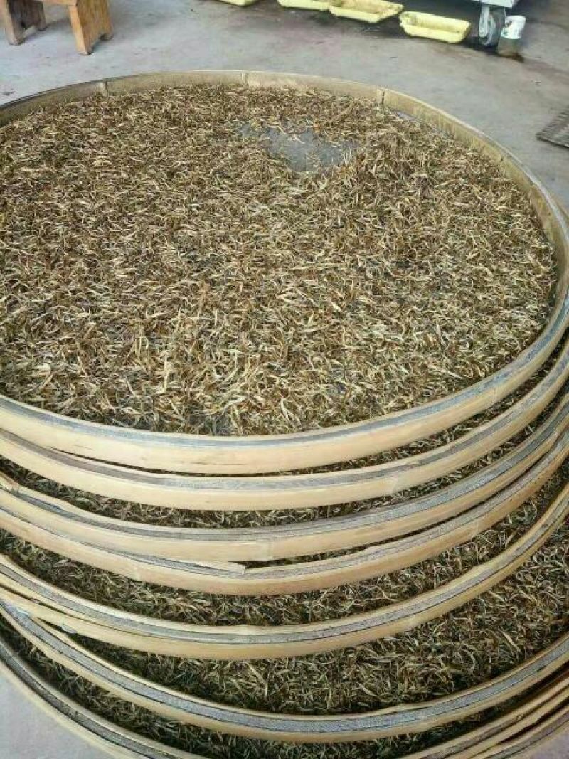 云南普洱各类滇红色香味俱全