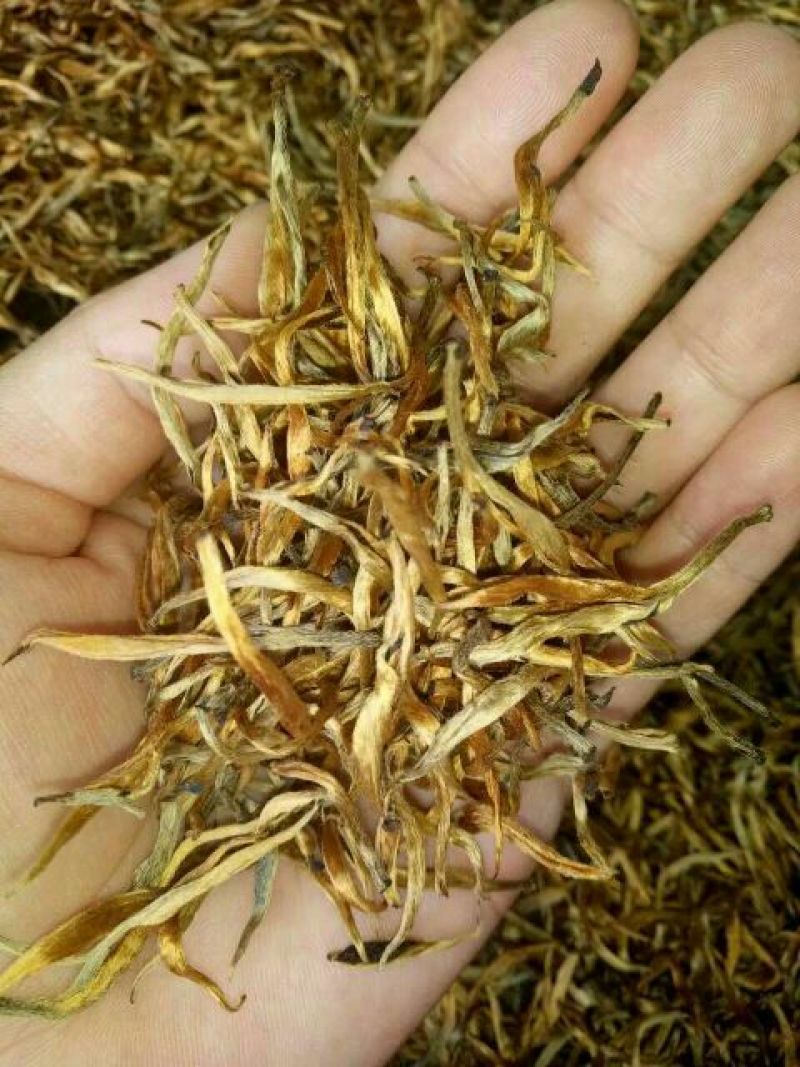 云南普洱各类滇红色香味俱全
