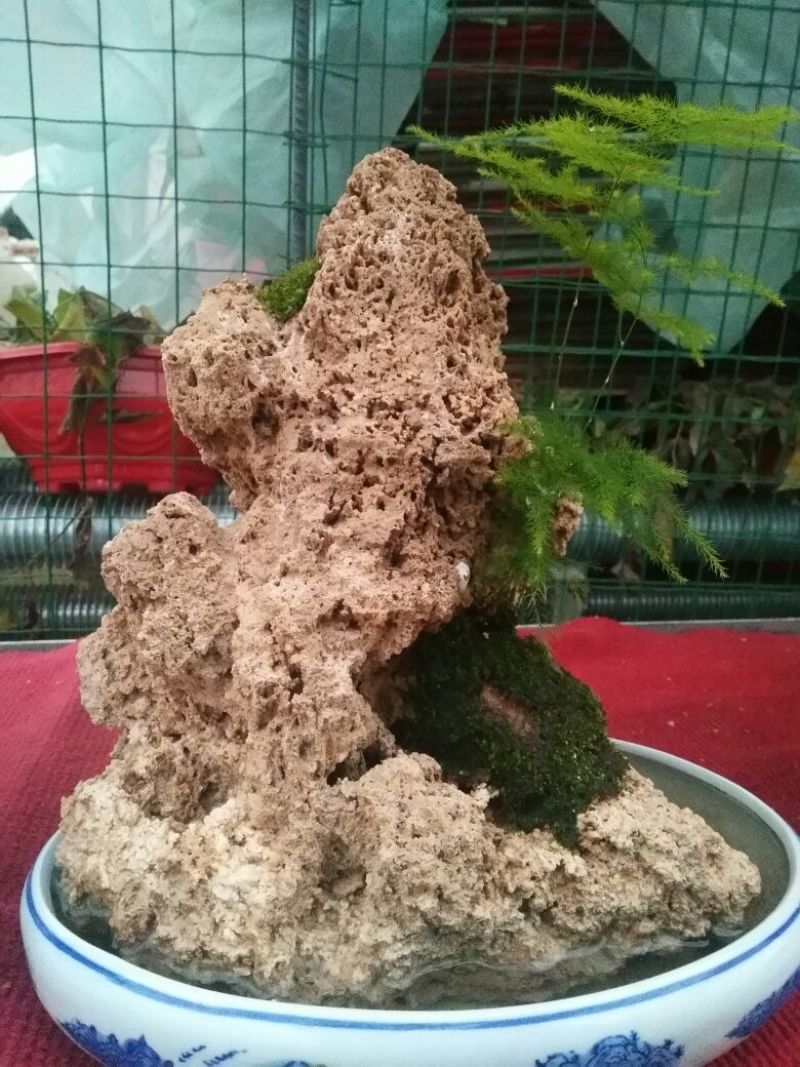 上水石石质上品形状各异质量保证规格齐全发货及时