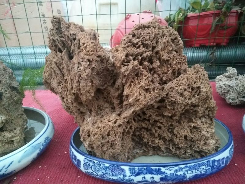 上水石石质上品形状各异质量保证规格齐全发货及时