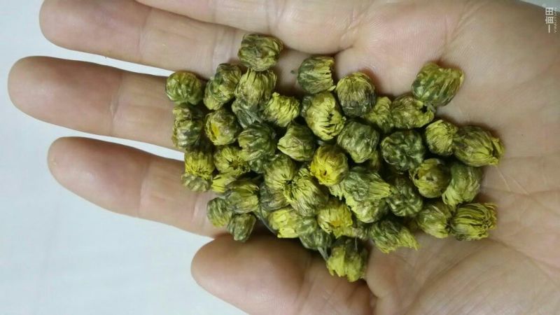菊花茶