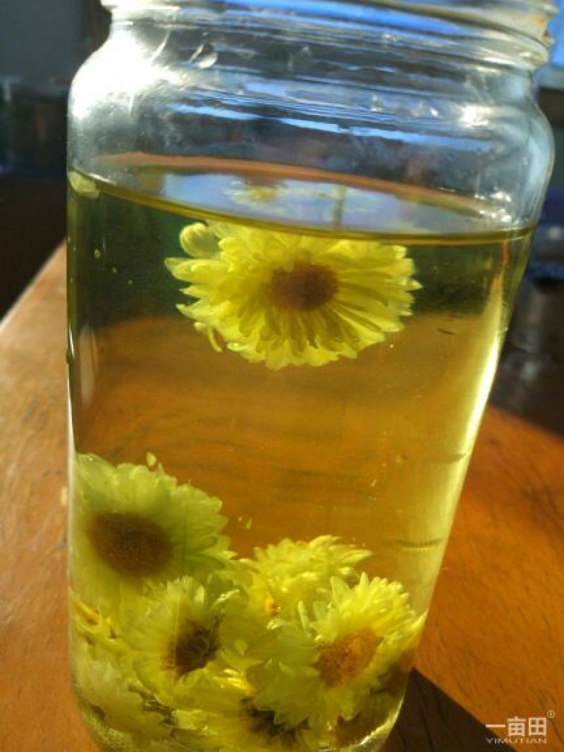 菊花茶