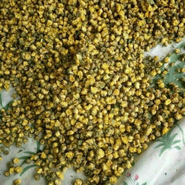 菊花茶