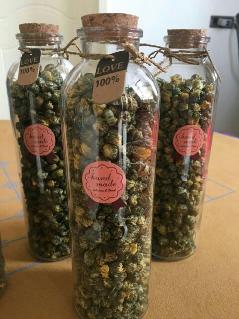 杭州白菊