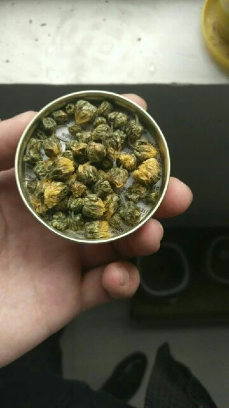 杭州白菊