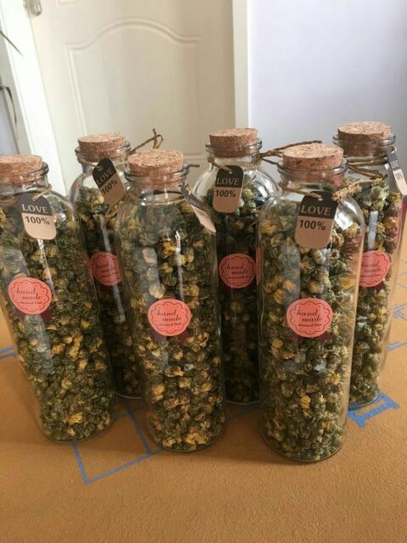 杭州白菊