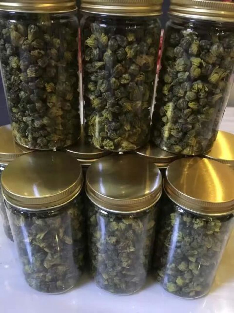 杭州白菊