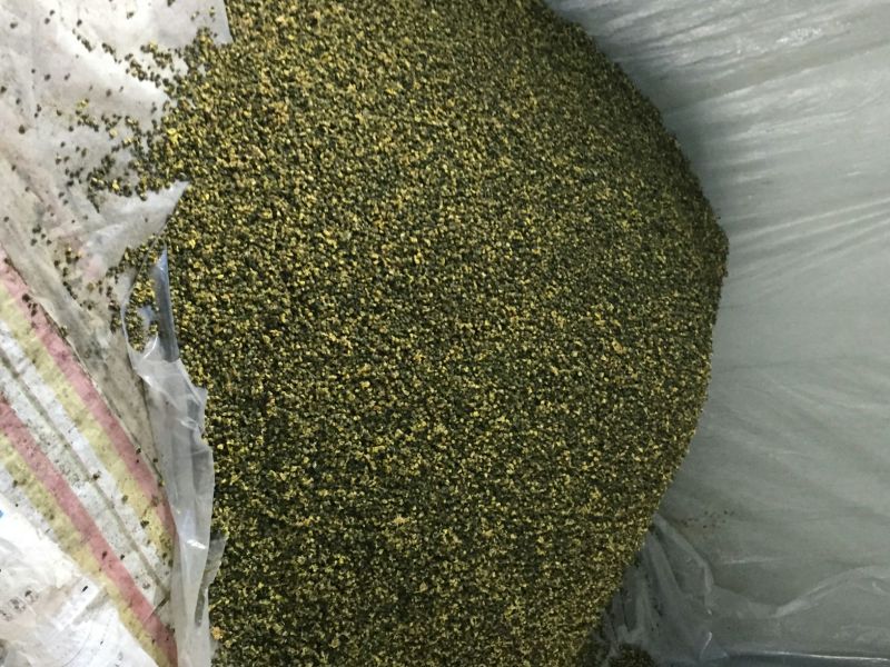 杭州白菊