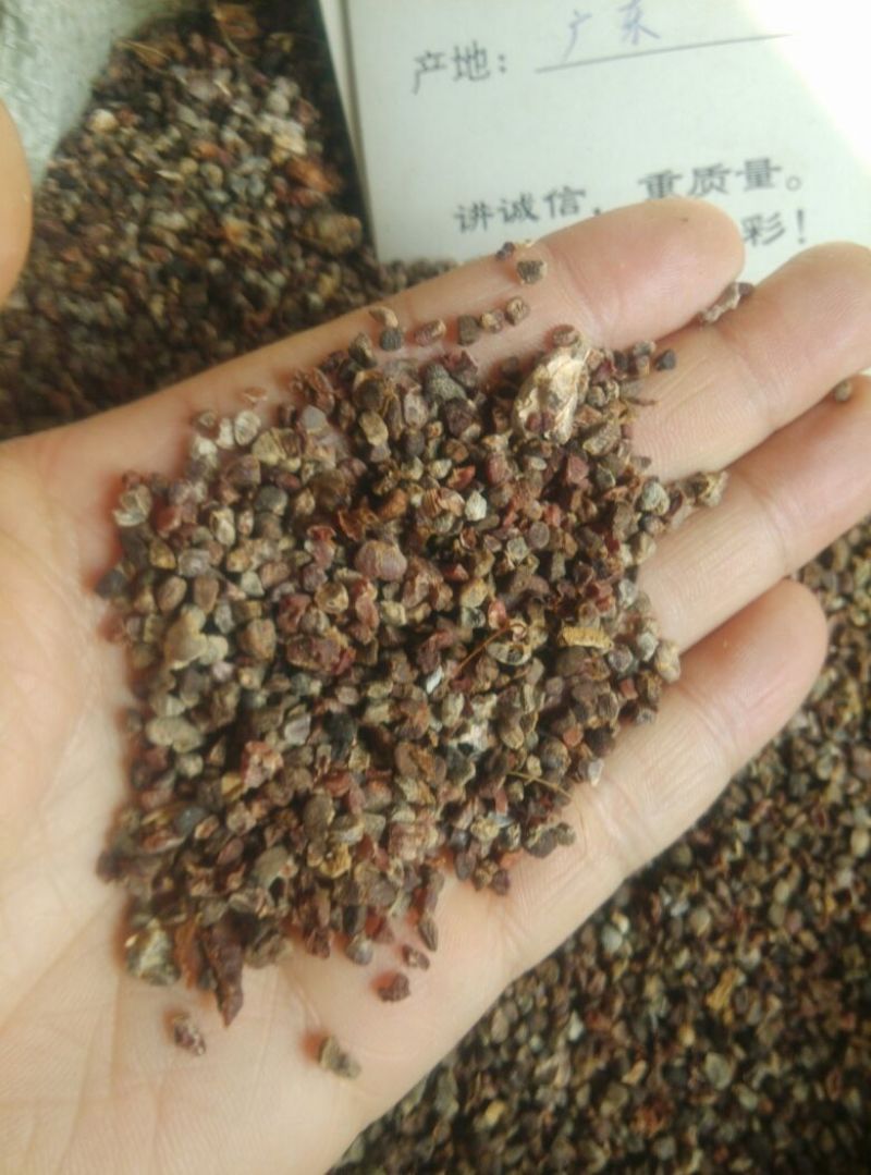 砂仁去壳统国产