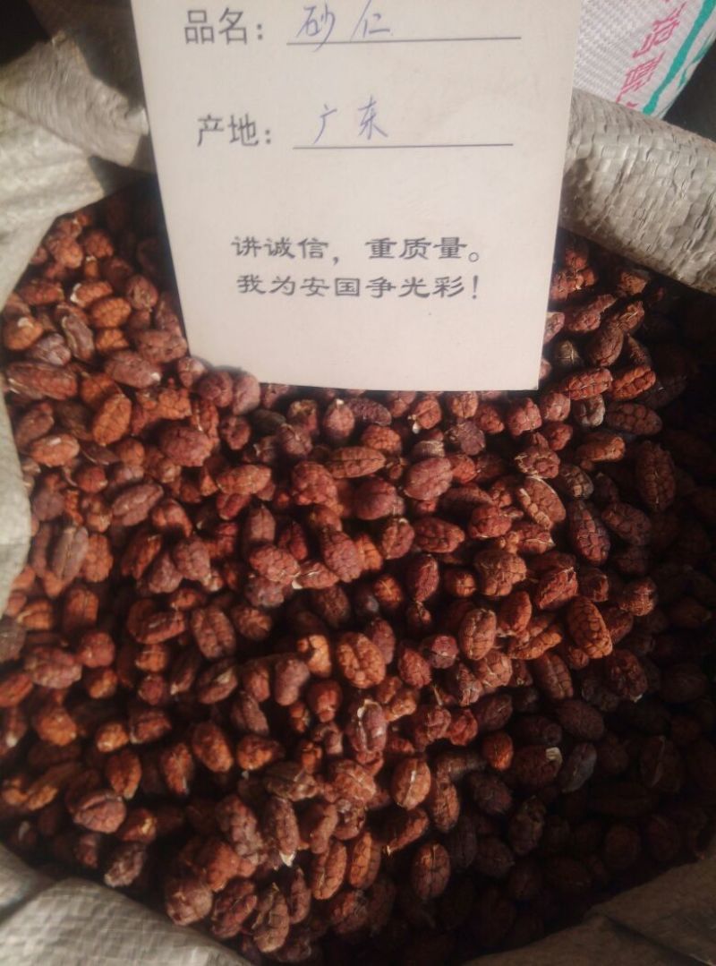 砂仁去壳统国产