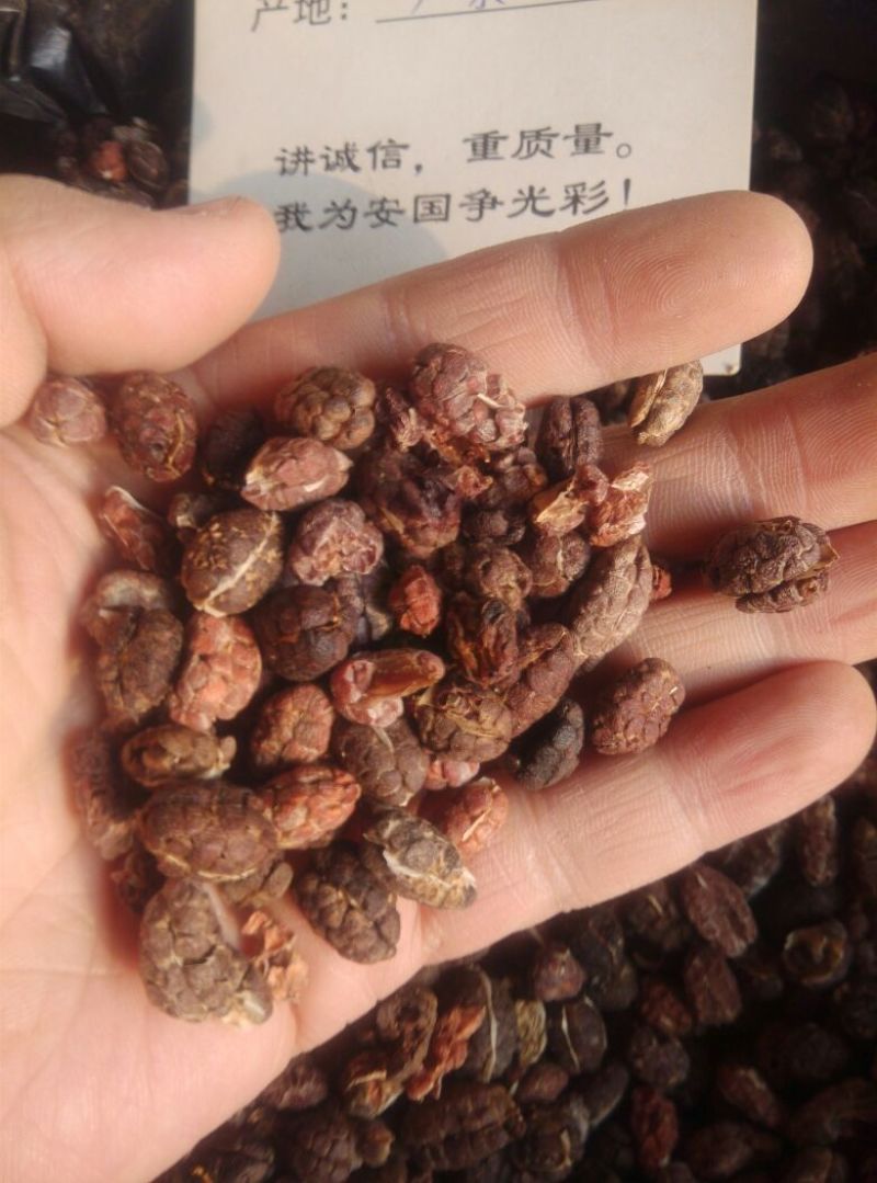 砂仁去壳统国产