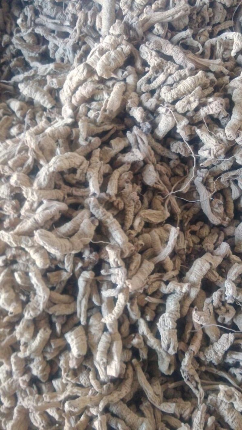 巴戟天三级