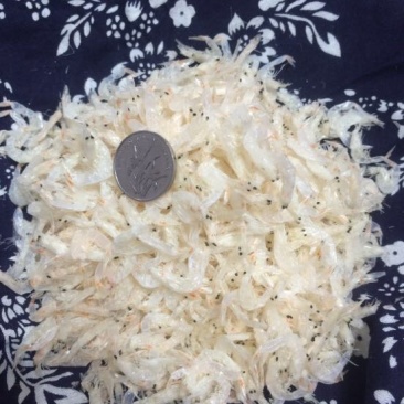 虾皮