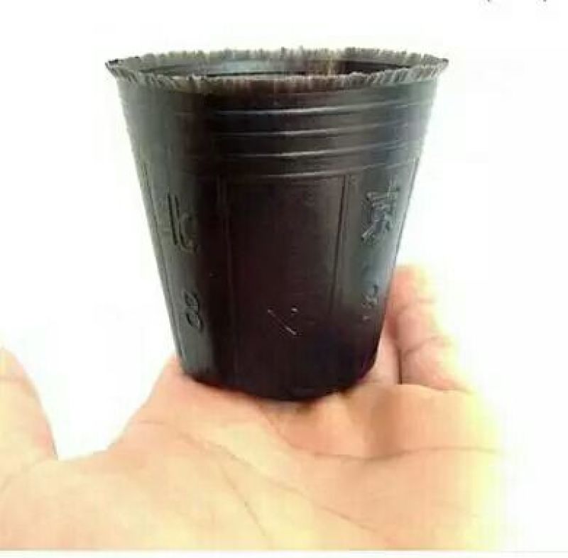 厂家供应花盆育苗代营养杯，一件批发，一手货源质量好