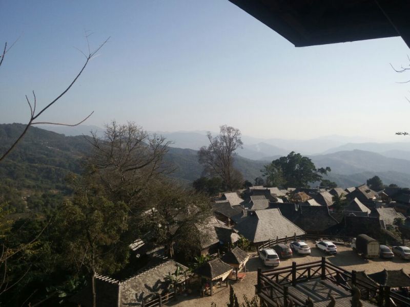 普洱茶