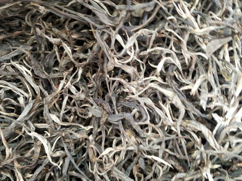 普洱茶